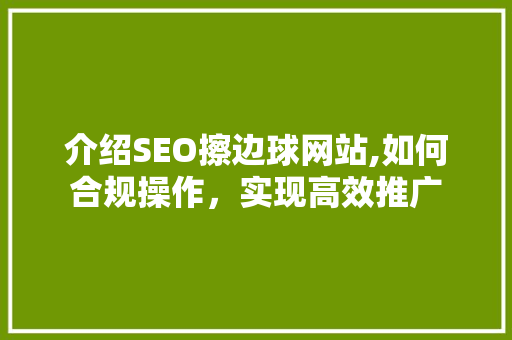 介绍SEO擦边球网站,如何合规操作，实现高效推广