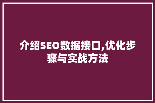 介绍SEO数据接口,优化步骤与实战方法