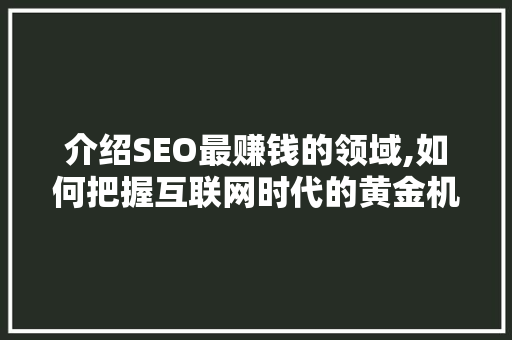 介绍SEO最赚钱的领域,如何把握互联网时代的黄金机遇