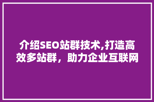 介绍SEO站群技术,打造高效多站群，助力企业互联网营销