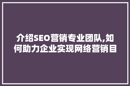 介绍SEO营销专业团队,如何助力企业实现网络营销目标