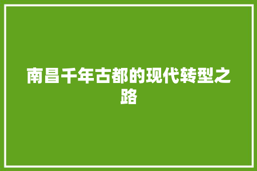 南昌千年古都的现代转型之路