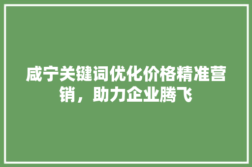 咸宁关键词优化价格精准营销，助力企业腾飞