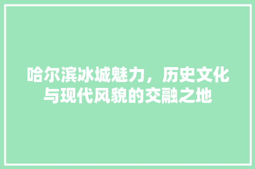 哈尔滨冰城魅力，历史文化与现代风貌的交融之地