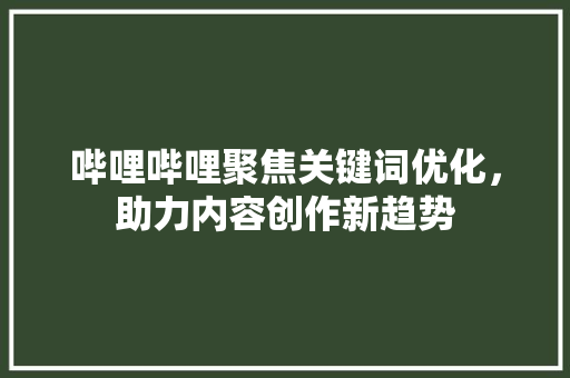 哔哩哔哩聚焦关键词优化，助力内容创作新趋势