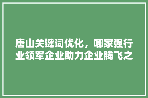 唐山关键词优化，哪家强行业领军企业助力企业腾飞之路