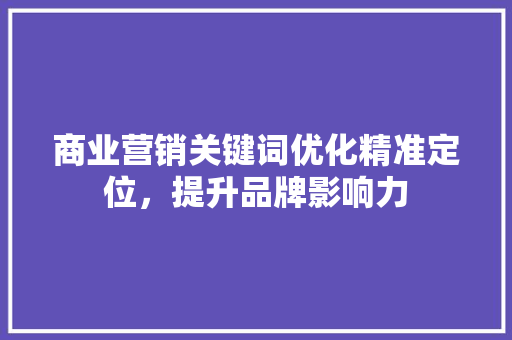 商业营销关键词优化精准定位，提升品牌影响力