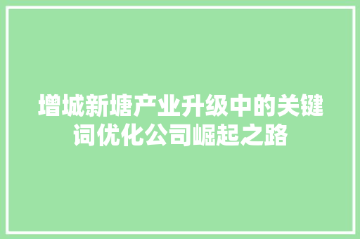 增城新塘产业升级中的关键词优化公司崛起之路