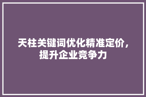 天柱关键词优化精准定价，提升企业竞争力