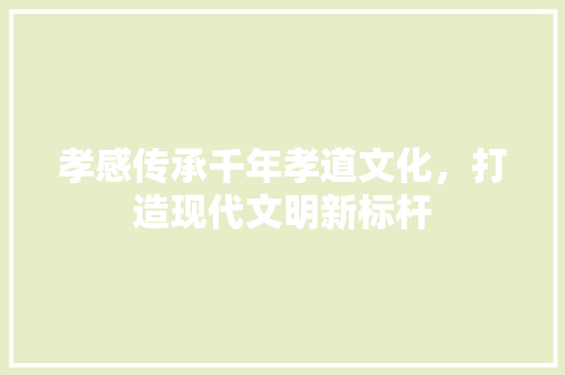 孝感传承千年孝道文化，打造现代文明新标杆