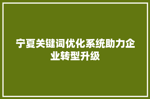 宁夏关键词优化系统助力企业转型升级