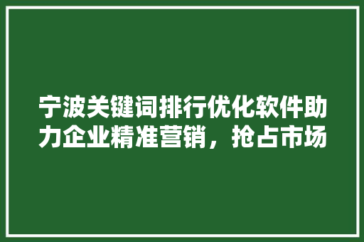 宁波关键词排行优化软件助力企业精准营销，抢占市场先机