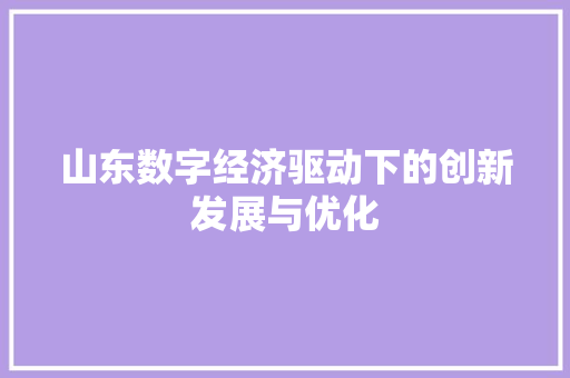 山东数字经济驱动下的创新发展与优化