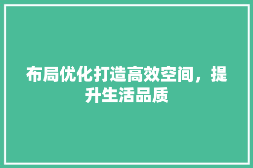 布局优化打造高效空间，提升生活品质