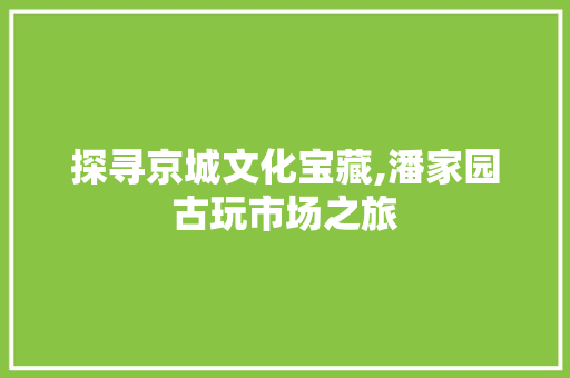 探寻京城文化宝藏,潘家园古玩市场之旅