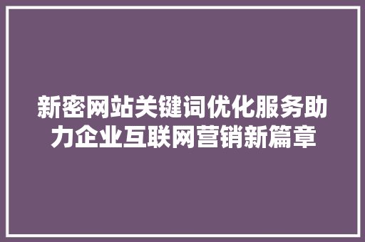 新密网站关键词优化服务助力企业互联网营销新篇章