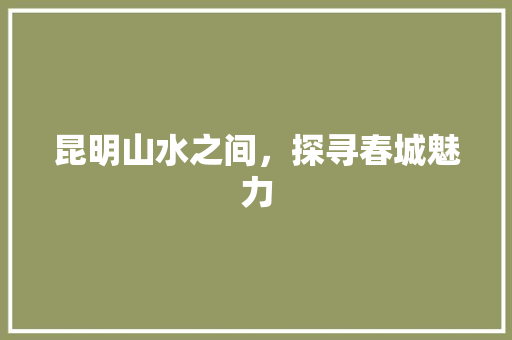 昆明山水之间，探寻春城魅力