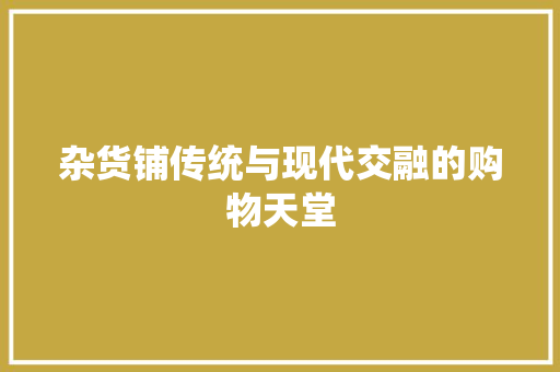 杂货铺传统与现代交融的购物天堂