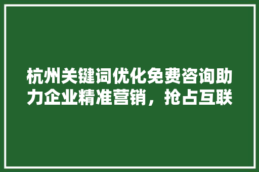 杭州关键词优化免费咨询助力企业精准营销，抢占互联网高地
