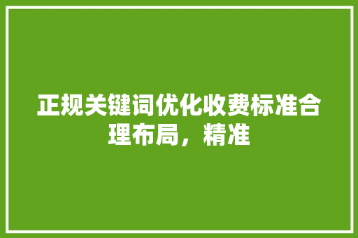 正规关键词优化收费标准合理布局，精准