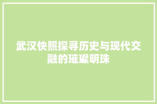 武汉快照探寻历史与现代交融的璀璨明珠