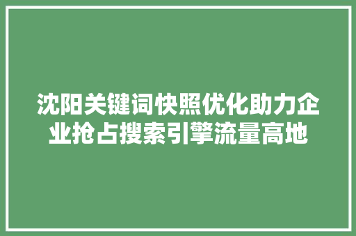 沈阳关键词快照优化助力企业抢占搜索引擎流量高地
