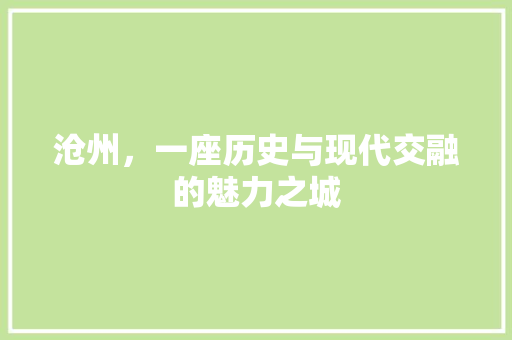 沧州，一座历史与现代交融的魅力之城