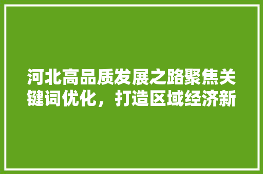 河北高品质发展之路聚焦关键词优化，打造区域经济新引擎