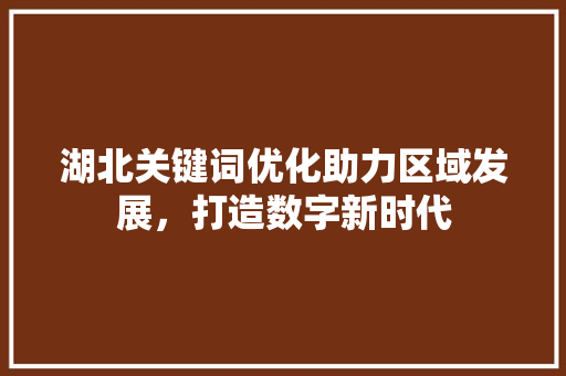 湖北关键词优化助力区域发展，打造数字新时代