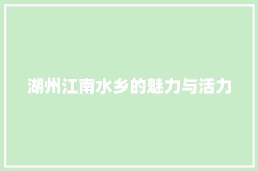 湖州江南水乡的魅力与活力