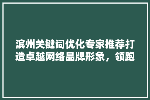 滨州关键词优化专家推荐打造卓越网络品牌形象，领跑行业