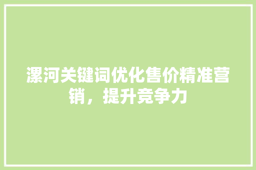 漯河关键词优化售价精准营销，提升竞争力