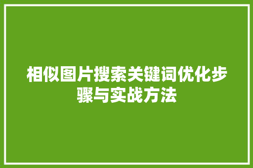 相似图片搜索关键词优化步骤与实战方法