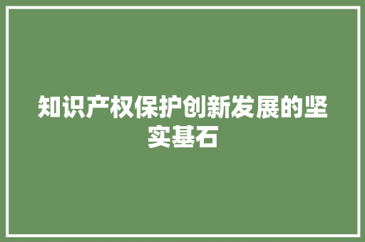 知识产权保护创新发展的坚实基石