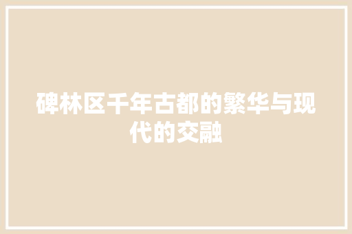 碑林区千年古都的繁华与现代的交融