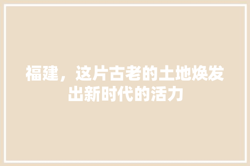 福建，这片古老的土地焕发出新时代的活力
