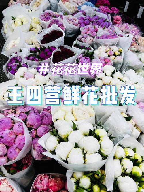北京周边最大花卉批发市场排名「丰台seo搜索引擎优化多少钱」