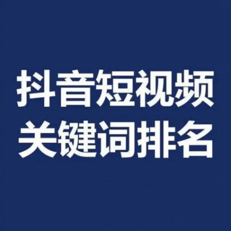 贾真的成长经历「南京seo关键词优化公司」