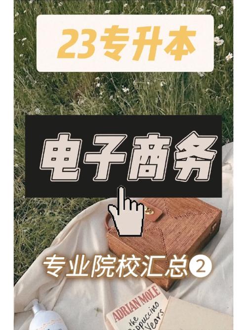 电子商务转什么专业好「湖北seo推广」
