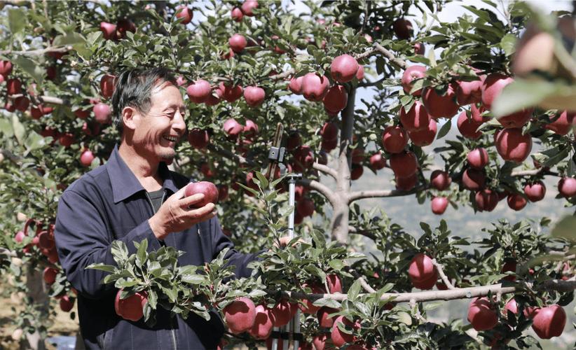 电子商务主要做什么,薪水怎么样「甘肃移动端关键词排名」