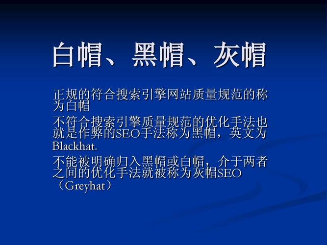 SEO的定义是什么「seo黑帽有哪些技术」