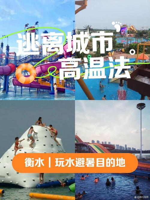 衡水游泳馆 排名「衡水seo公司」