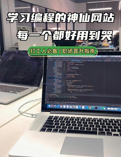 去哪里学php技巧_轨范员免费进修编程的5个网站你知道几个
