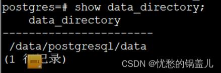 phpyum安装技巧_超具体的centos7下载安装Postgresql11yum安装教程