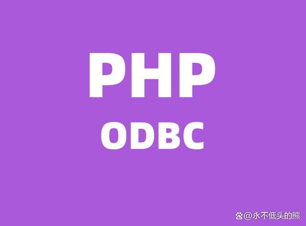 php衔接odbc技巧_运用PHP和ODBC连接数据库的示例代码和心得体会