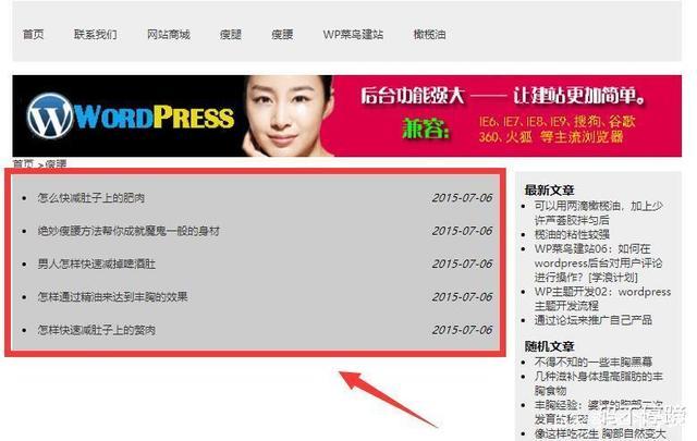 php列表分页技巧_若何给wordpress网站的文章列表添加分页效果可以经由进程2种办法