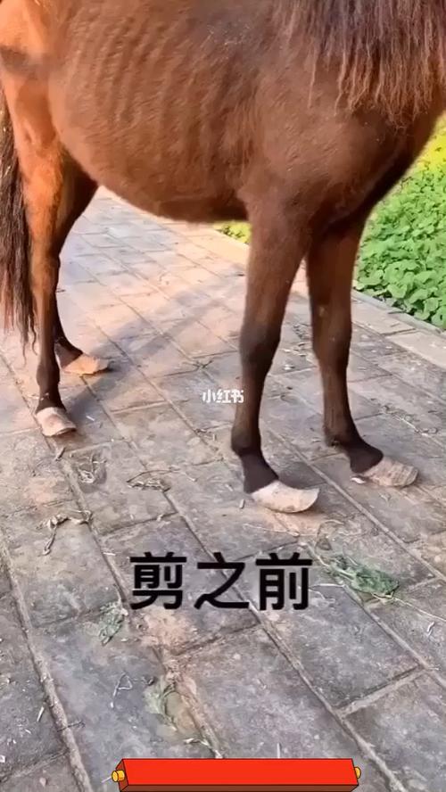 php破绽发掘之旅技巧_PHP反序列化马脚成因及马脚挖掘技巧与案例