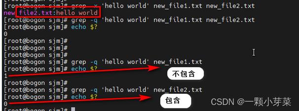 phpmkdir多级目次技巧_linux mkdir创建多个目录多级目录