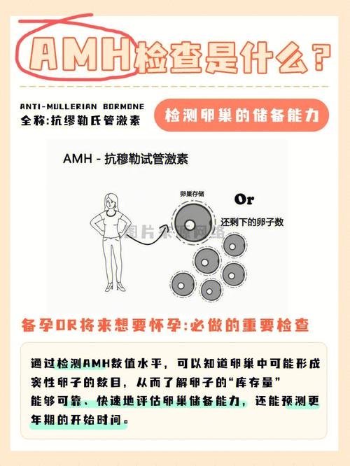 amhphp54技巧_AMH安装Discuz Q简单教程