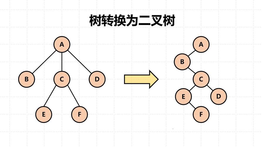 php子孙树技巧_PHP数据结构树和二叉树